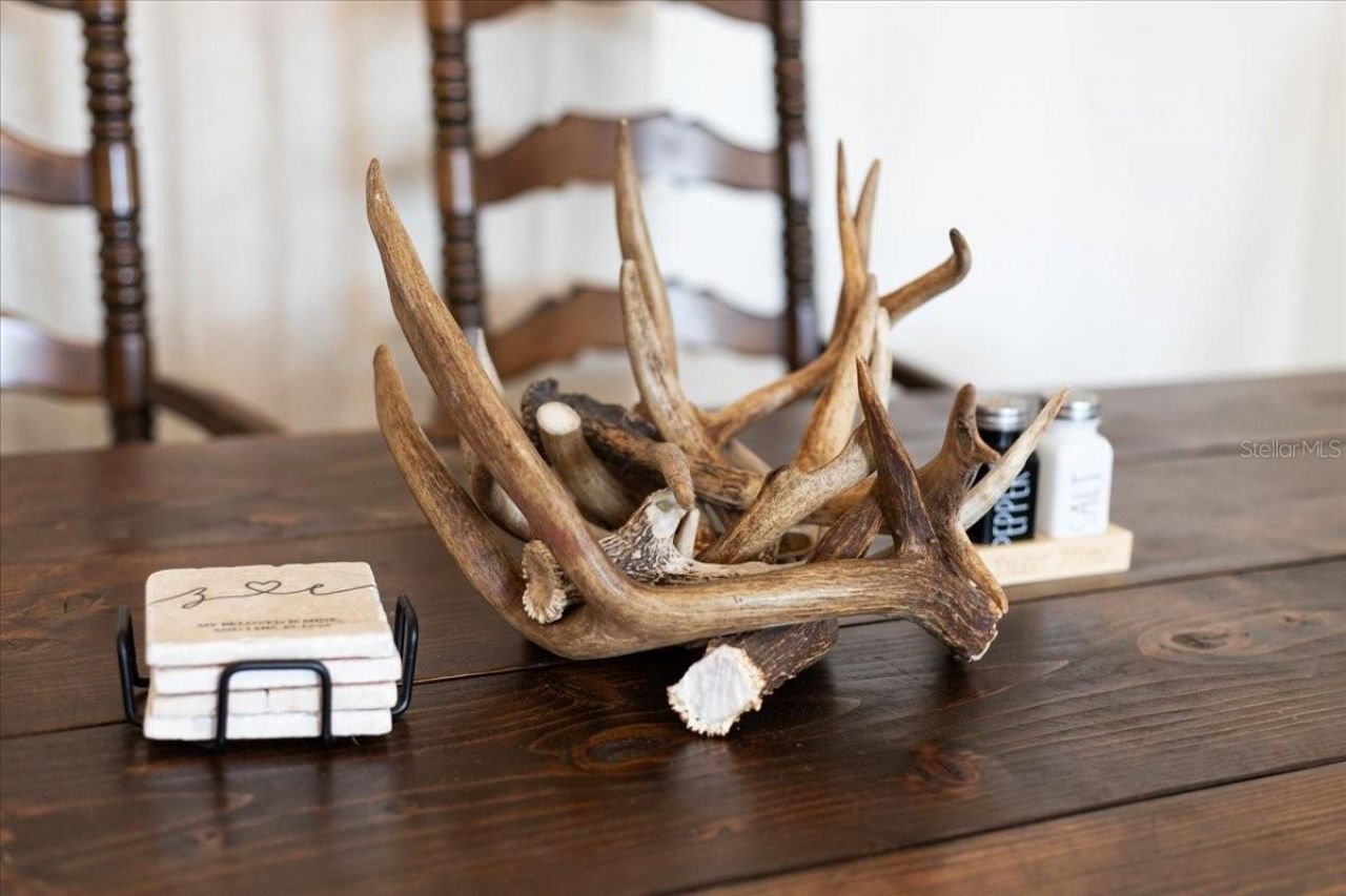 173 SW 24th Avenue, Trenton, FL 32693 Photo