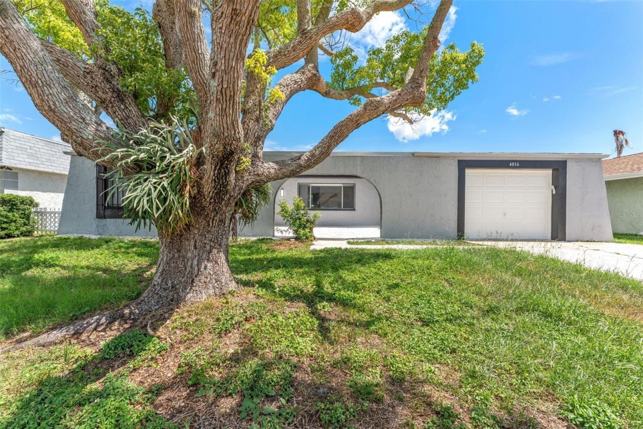 4016 Grayton Drive, New Port Richey, FL 34652 Photo