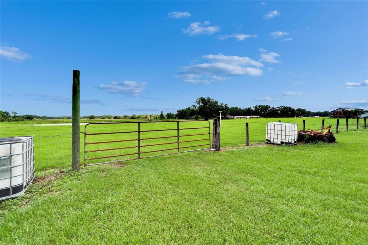 1620 Mcgee Road, Plant City, FL 33565 Photo