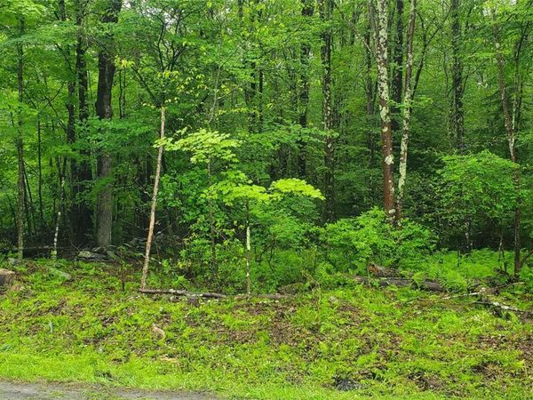 Tr 105 Cypert Road, Fallsburg, NY 12733