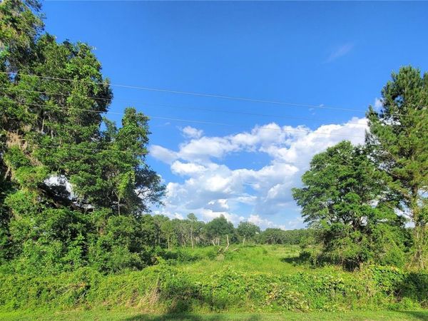 0 TBD NW 115TH AVENUE, REDDICK, FL 32686