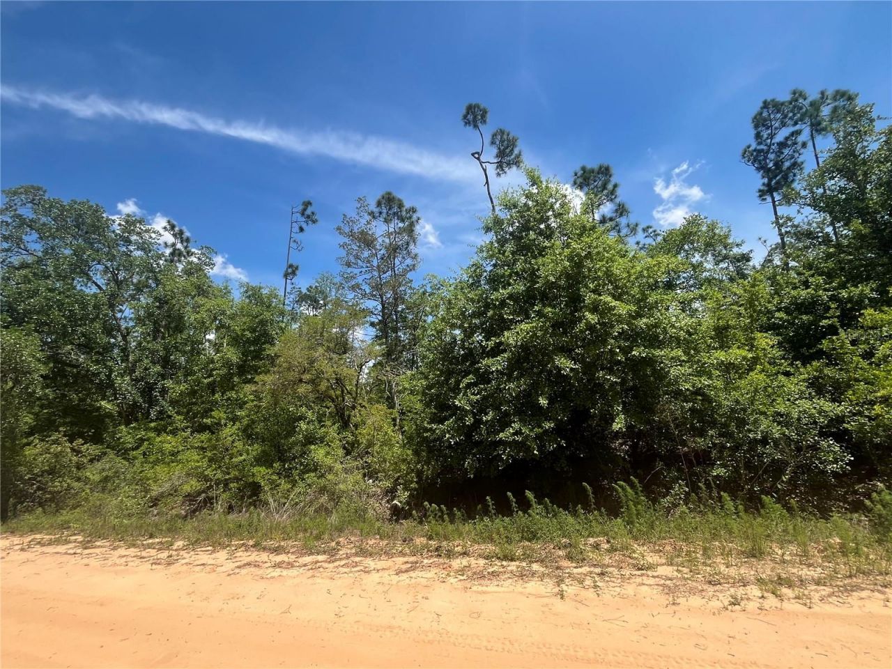 Tamarac Road, Marianna, FL 32448 Photo