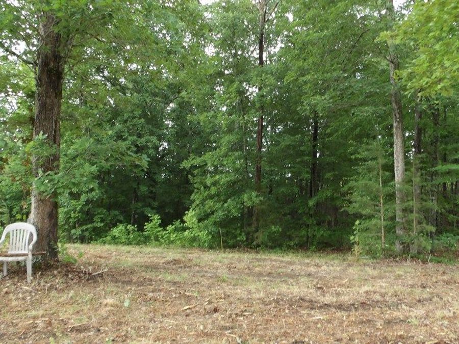 Property Image 32