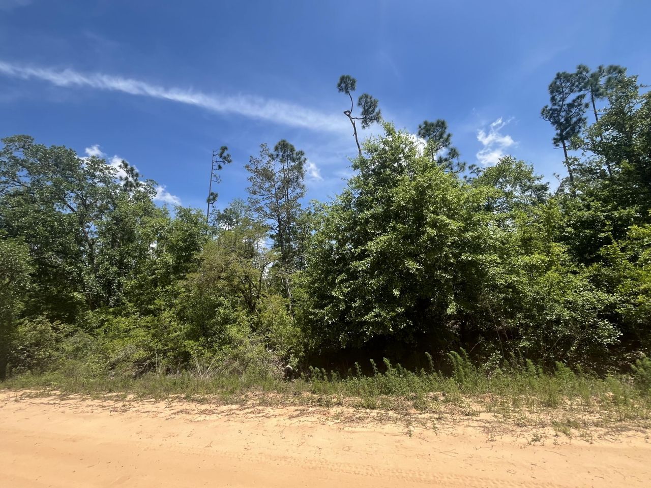 Tbd Tamarac Road, Marianna, FL 32448 Photo