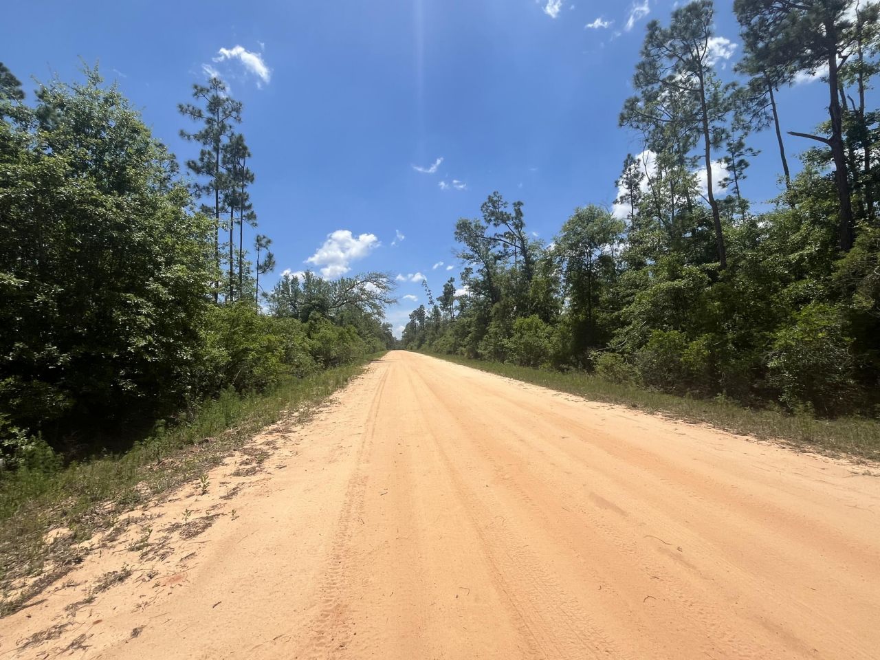 Tbd Tamarac Road, Marianna, FL 32448 Photo