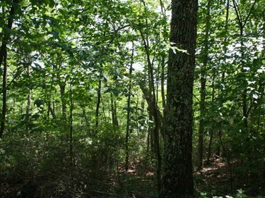 43 HIGH VALLEY SOUTH, Unit 43, MONTEREY, VA 24465