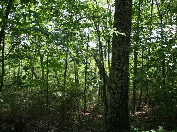 43 HIGH VALLEY SOUTH, Unit 43, MONTEREY, VA 24465