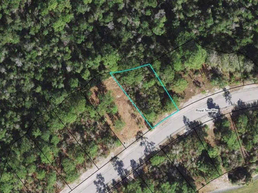 Property Image 11