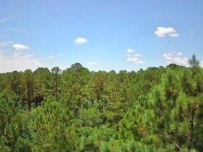 0 Nursery Road, Reevesville, SC 29471