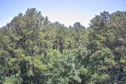 0 Nursery Road photo 4