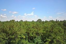 0 Nursery Road photo 4