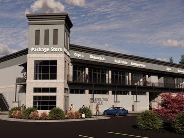 100 New Cut Road, Unit 2, Braselton, GA 30517