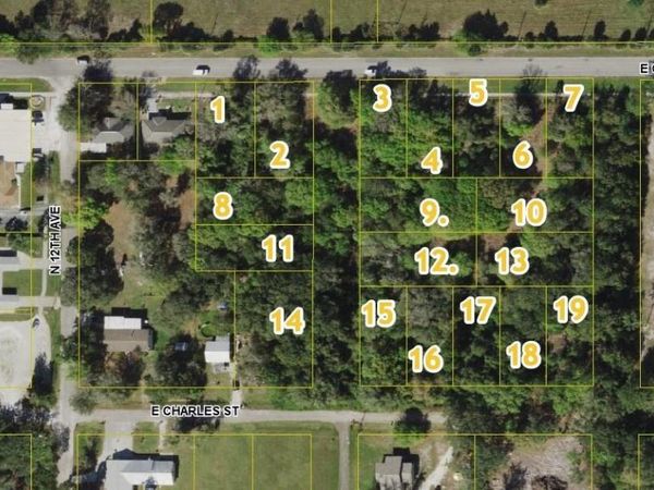 E GIBSON STREET, ARCADIA, FL 34266