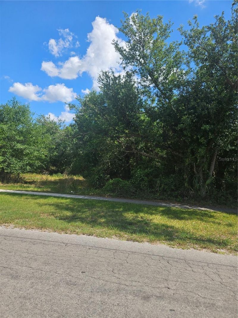 E Gibson Street, Arcadia, FL 34266 Photo