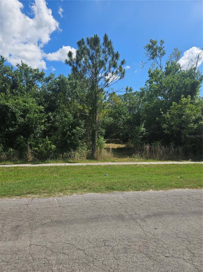 E Gibson Street, Arcadia, FL 34266 Photo