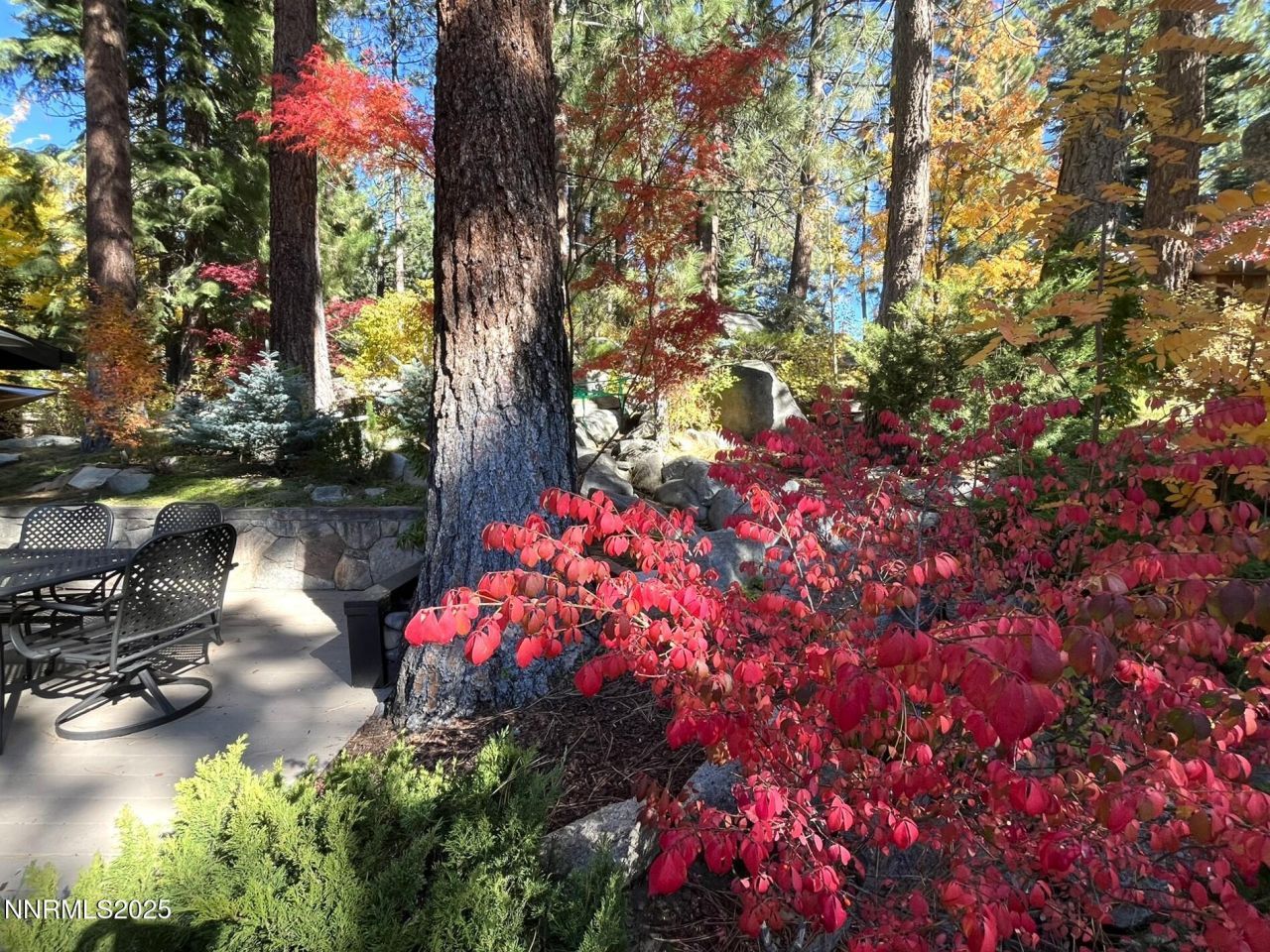 259 Mc Faul Court, Zephyr Cove, NV 89448 Photo