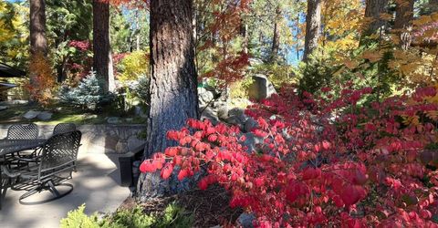 259 Mc Faul Court, Zephyr Cove, NV 89448 Photo