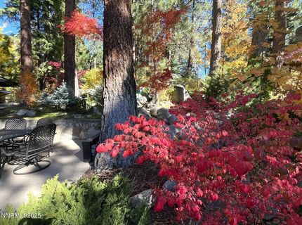 259 Mc Faul Court, Zephyr Cove, NV 89448 Photo