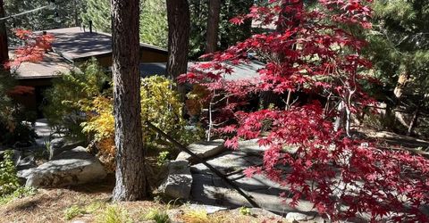 259 Mc Faul Court, Zephyr Cove, NV 89448 Photo