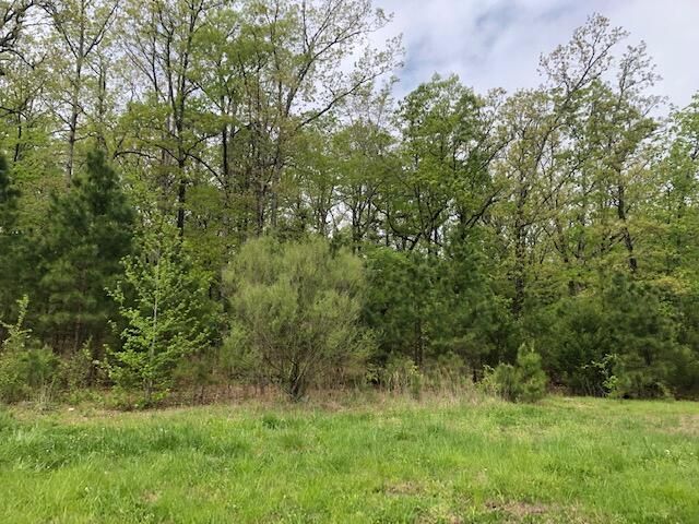 Mountain Ridge Rd, Batesville, AR 72501 Main Photo