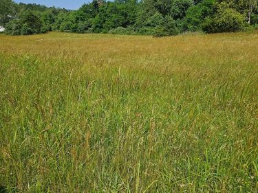 0 PEAR BLOSSOM LANE, Unit 9, 11, 12,, NATURAL BRIDGE, VA 24578