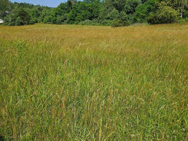 PEAR BLOSSOM LANE, Unit 9, 12, 13, NATURAL BRIDGE, VA 24578
