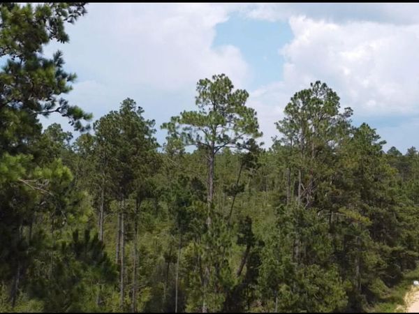 0 Black Hills Street, Alford, FL 32420