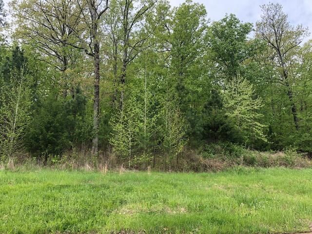 Mountain Ridge Rd, Batesville, AR 72501 Main Photo