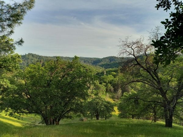 12274 Kenneth Ct, Grass Valley, CA 95949