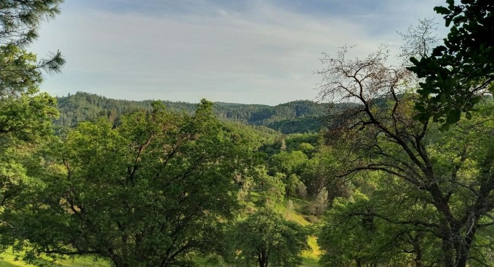 12274 Kenneth Ct, Grass Valley, CA 95949 Photo