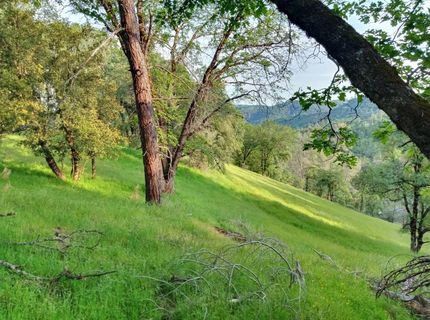 12274 Kenneth Ct, Grass Valley, CA 95949 Photo