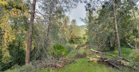 12274 Kenneth Ct, Grass Valley, CA 95949 Photo