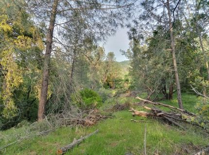 12274 Kenneth Ct, Grass Valley, CA 95949 Photo