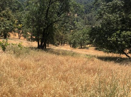 12274 Kenneth Ct, Grass Valley, CA 95949 Photo