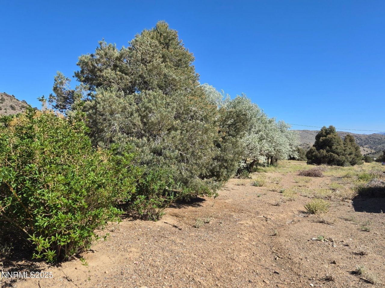 1340 Topaz Ranch Road, Topaz Ranch Estates, NV 89444 Photo