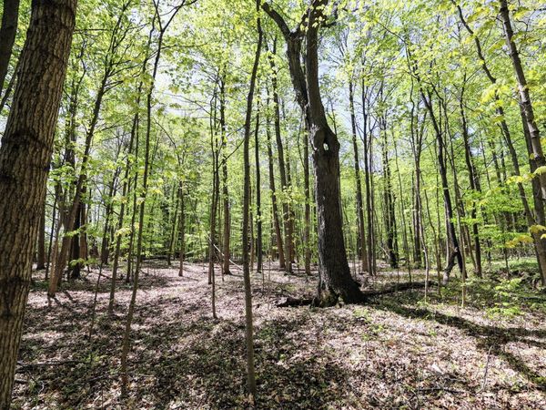 59385 Benny Ct (Private), Unit Parcel 2, Grand Junction, MI 49056