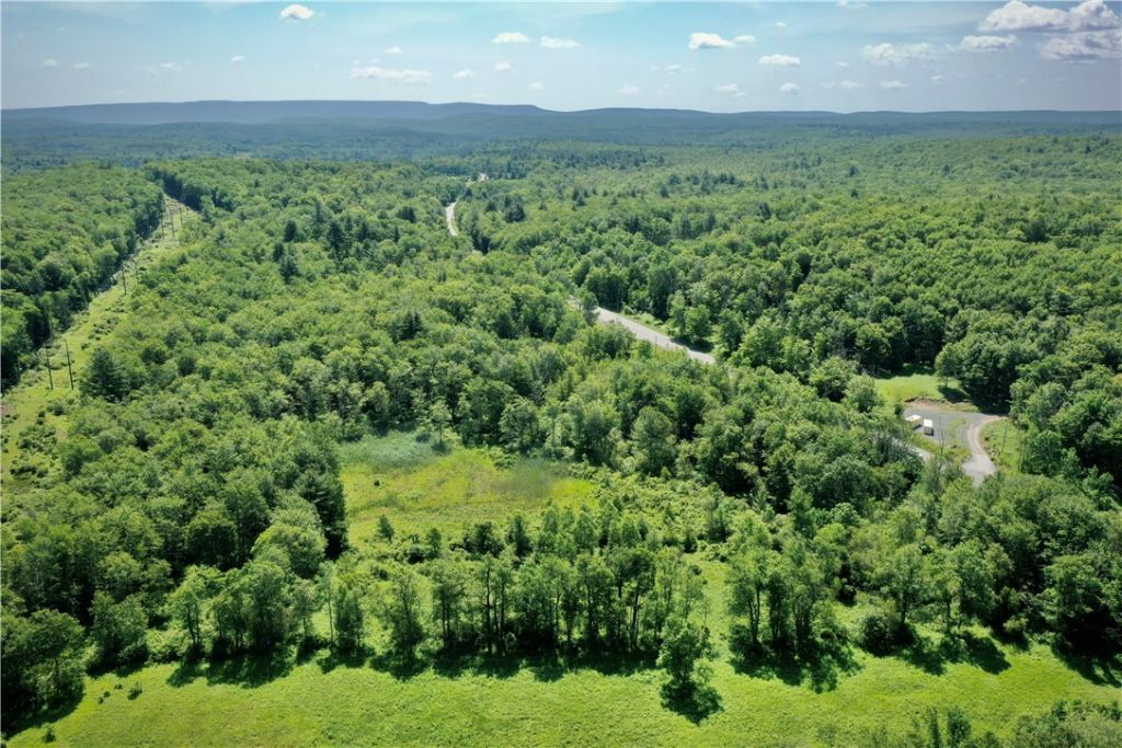 Route 52, Ellenville, NY 12489 Main Photo