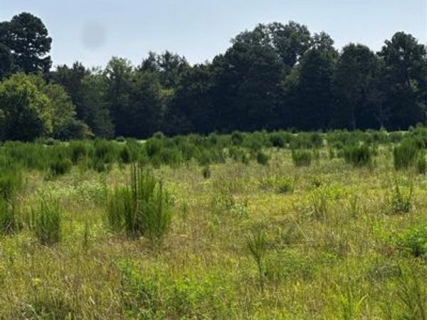 001 Fm-144, Daingerfield, TX 75638