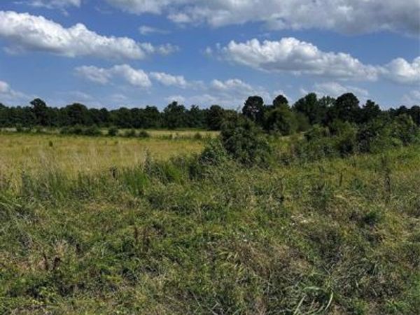 001 Fm-144, Daingerfield, TX 75638