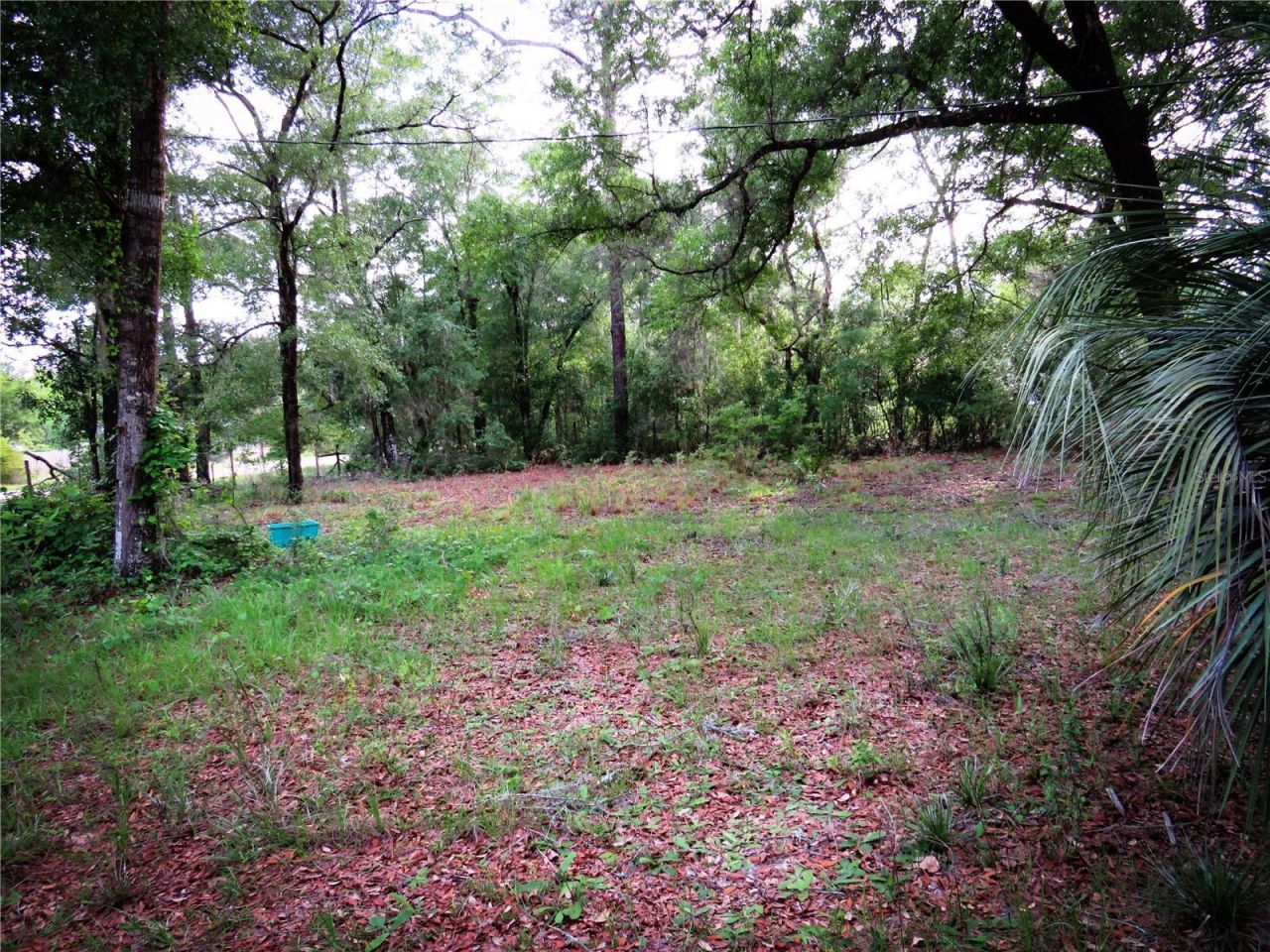118 Millcreek Drive, Melrose, FL 32666 Photo