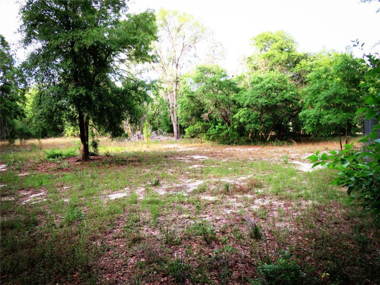 118 Millcreek Drive, Melrose, FL 32666 Photo