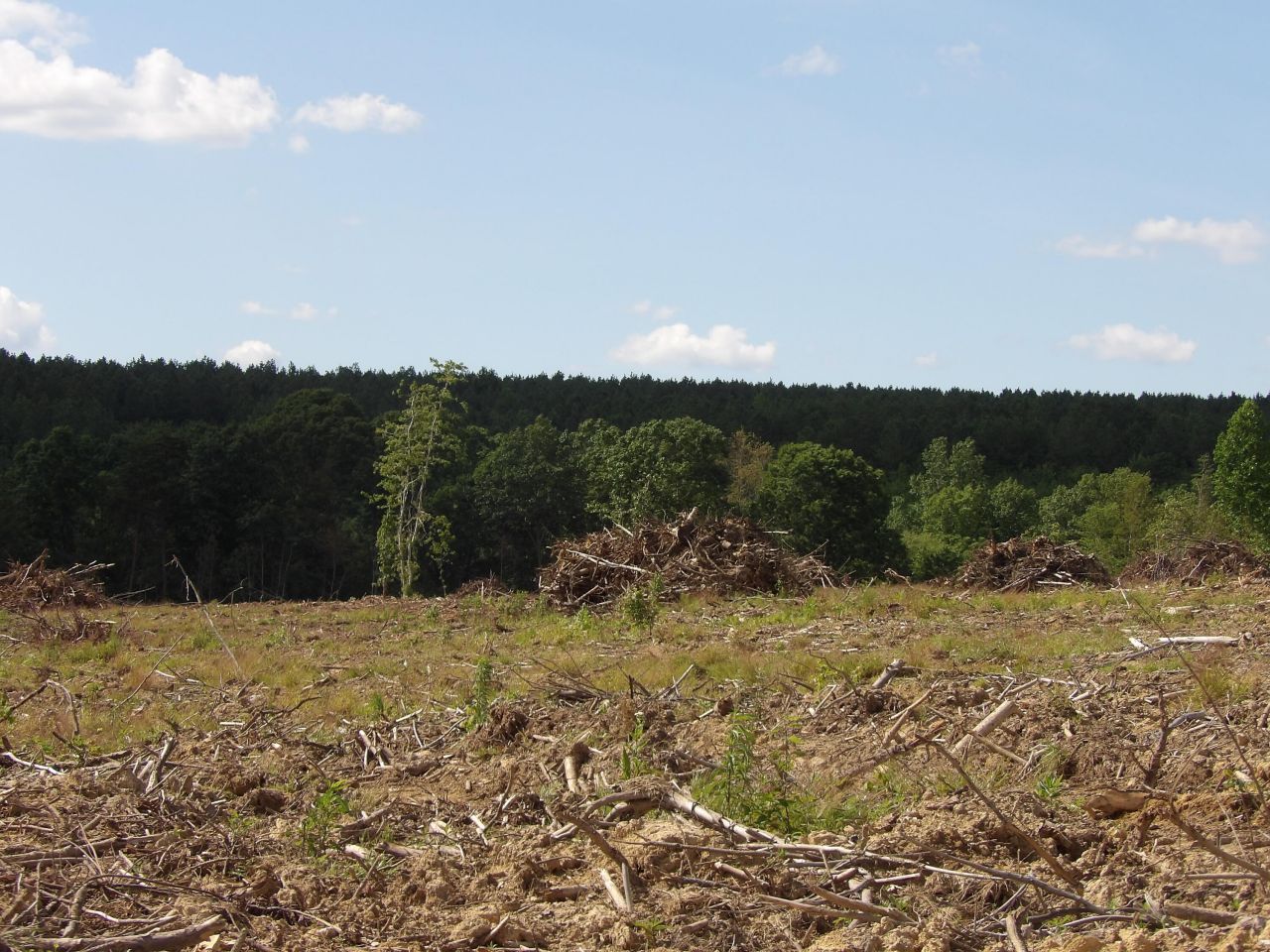 Lot 15 Summer City Road, Evensville, TN 37332 Main Photo