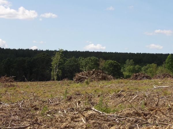 Lot 15 Summer City Road, Evensville, TN 37332