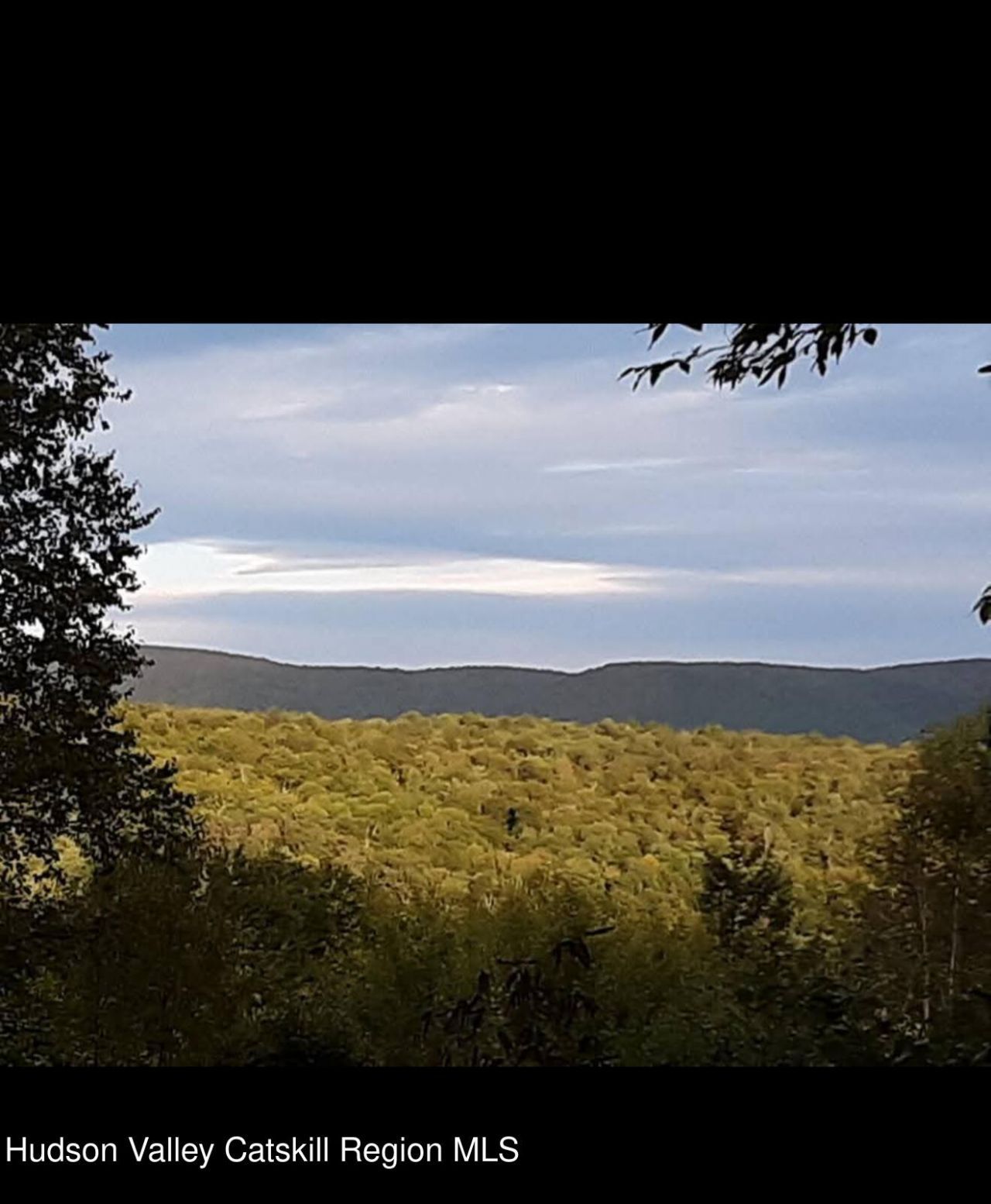 0 Black River Road, Stephentown, NY 12169 Main Photo