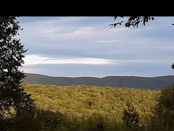 0 Black River Road, Stephentown, NY 12169