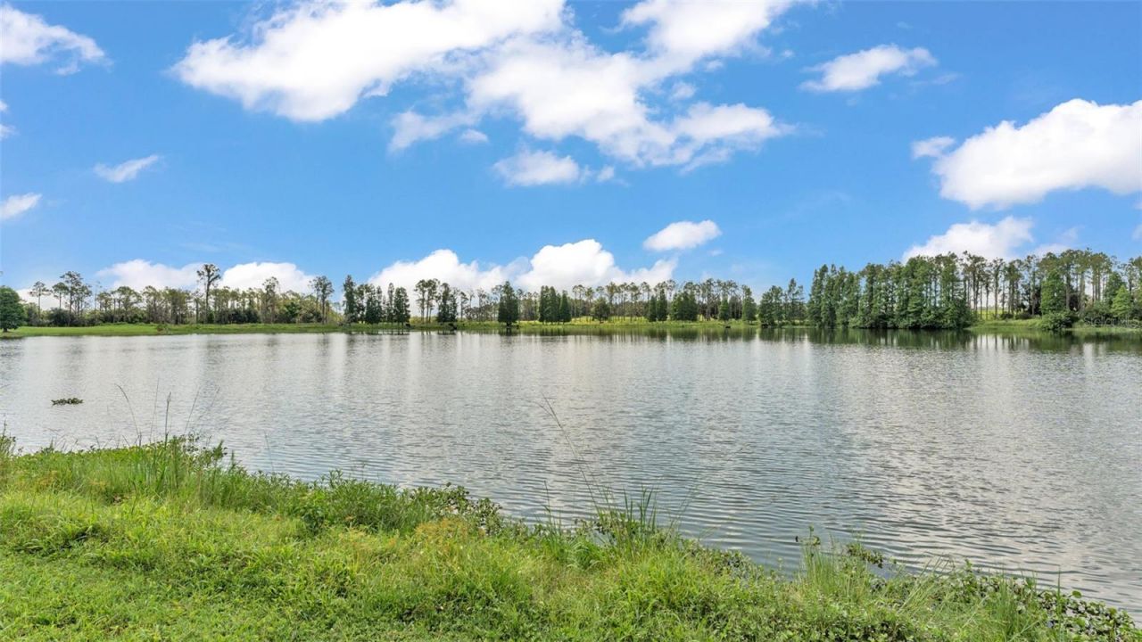 1044 Timbers Drive, Fort Meade, FL 33841 Photo