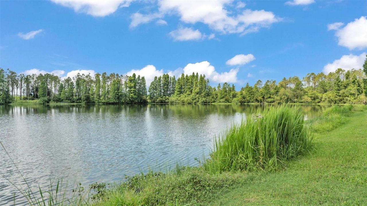 1044 Timbers Drive, Fort Meade, FL 33841 Photo