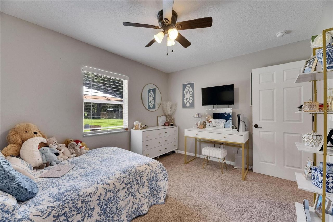 4312 James L Redman Parkway, Plant City, FL 33567 Photo