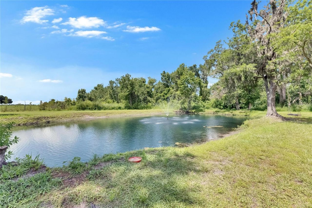 4312 James L Redman Parkway, Plant City, FL 33567 Photo