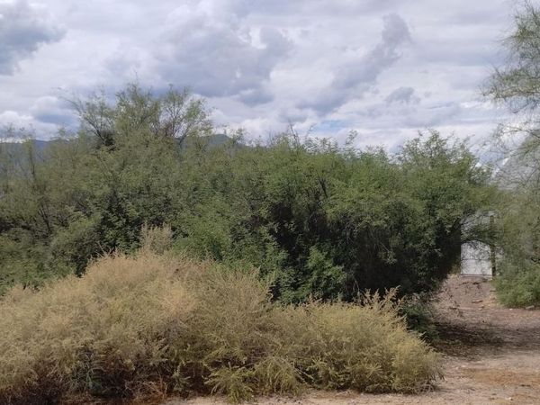 000 S Branding Iron Road, Unit 38, Swift Trail Junction, AZ 85546